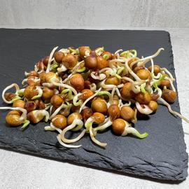 zöldborsó csíra 