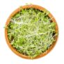 Kép 2/2 - lucerna mikrozöldség levelek