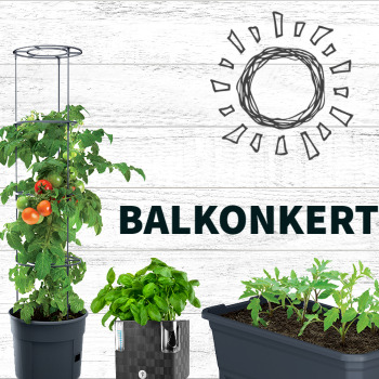 balkonkert kategória