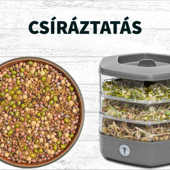 csíráztatás