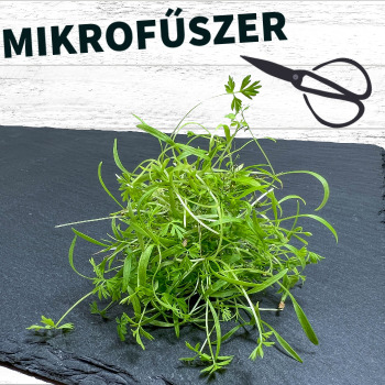 mikrofűszer és bébisaláta