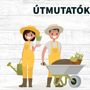 útmutató növényekhez