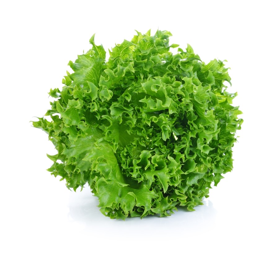 Saláta lollo zöld - levélzöldség mag